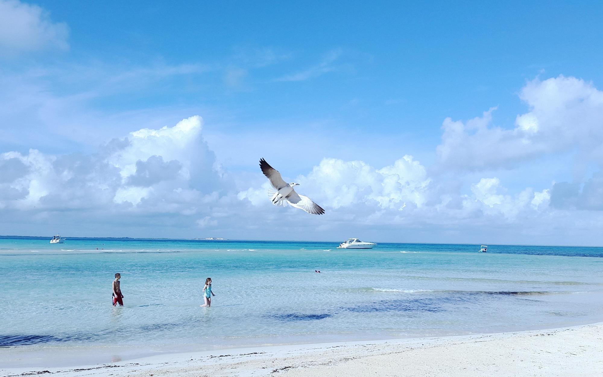 Mia Reef Isla Mujeres Cancun All Inclusive Resort Luaran gambar